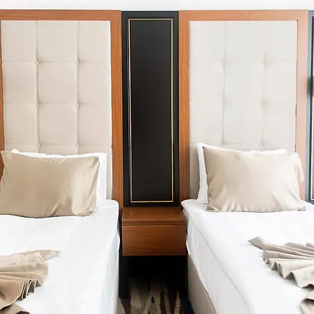 Shelter & ホテル *