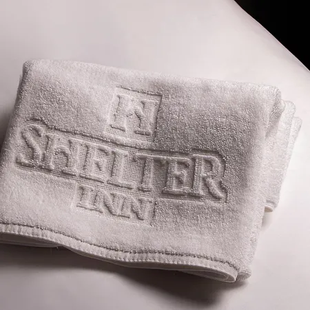 Shelter & Hotel Ankara