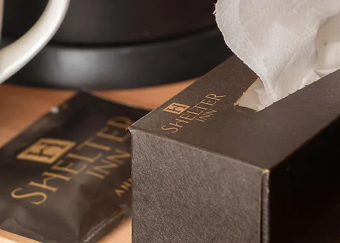 호텔 Shelter & 앙카라