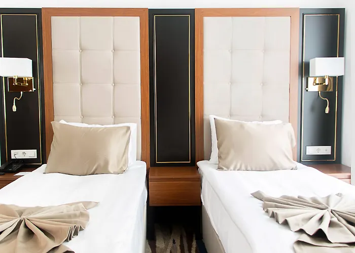 Shelter & * 앙카라